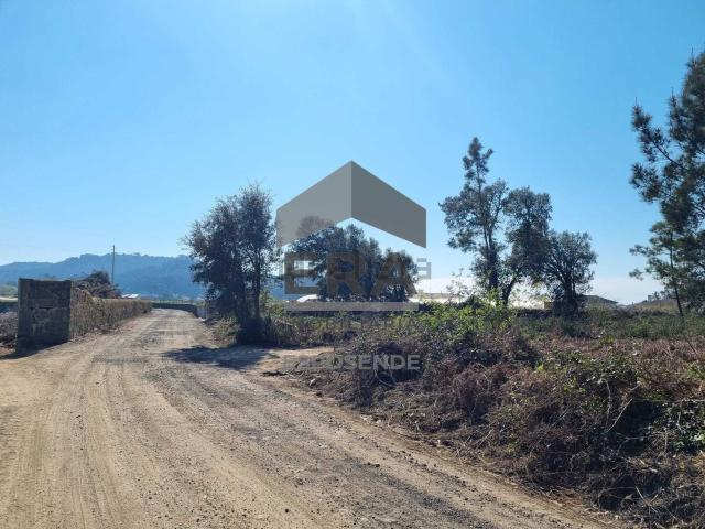 Terreno, Antas