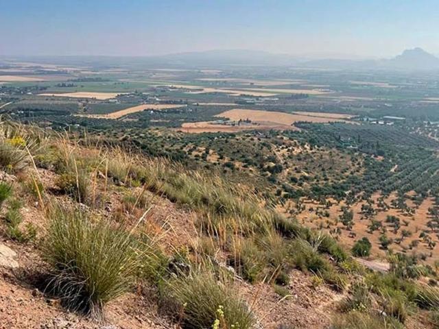 Terreno, Antequera