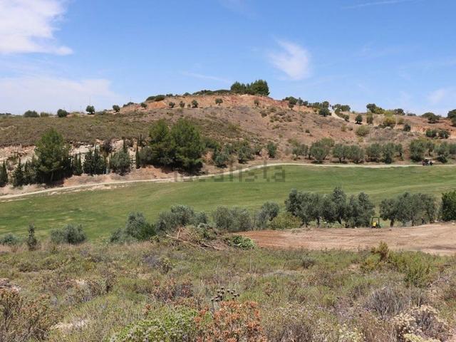 Terreno, Antequera