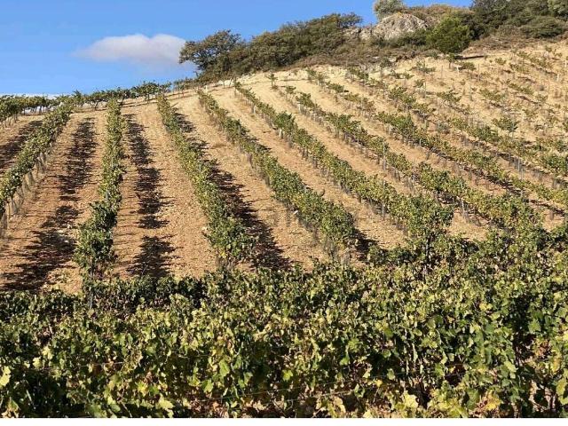 Terreno, Antequera