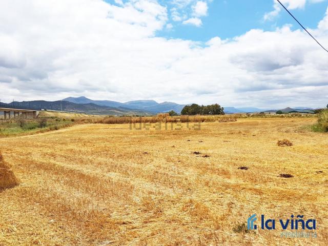 Terreno, Antequera