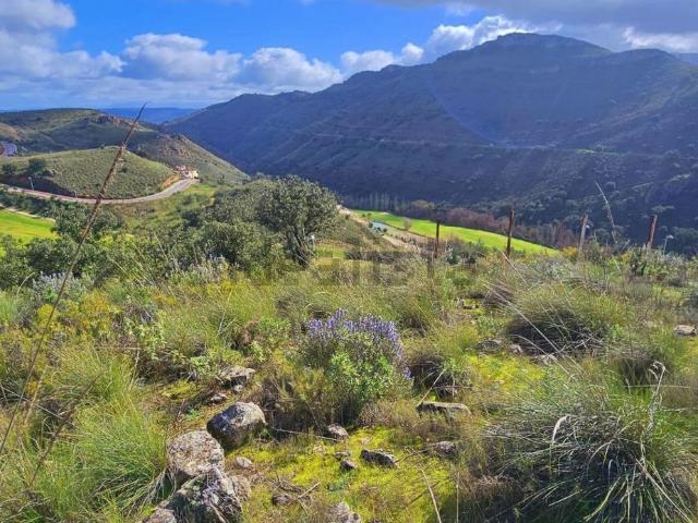 Terreno, Antequera