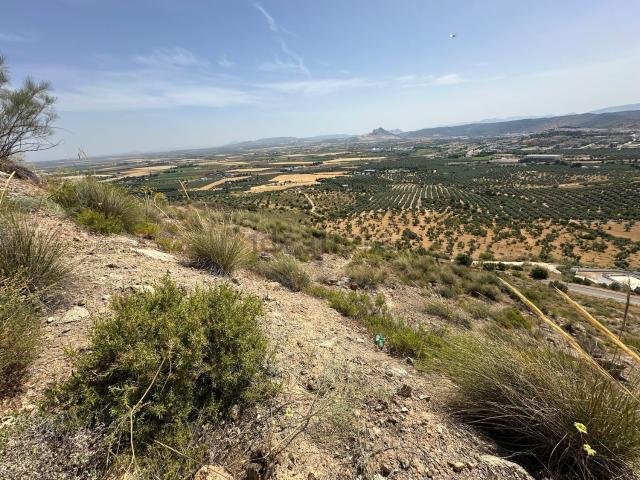 Terreno, Antequera