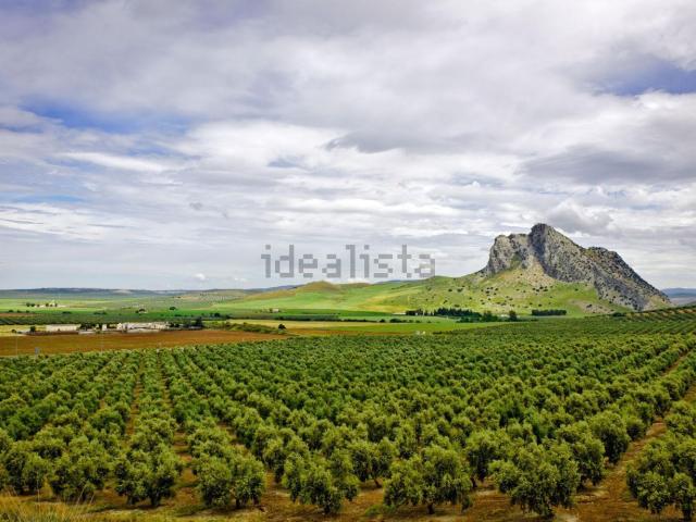 Terreno, Antequera