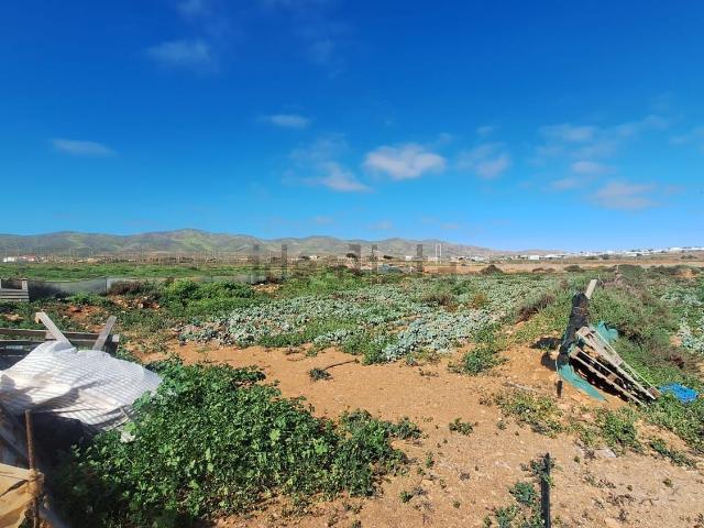 Terreno, Antigua