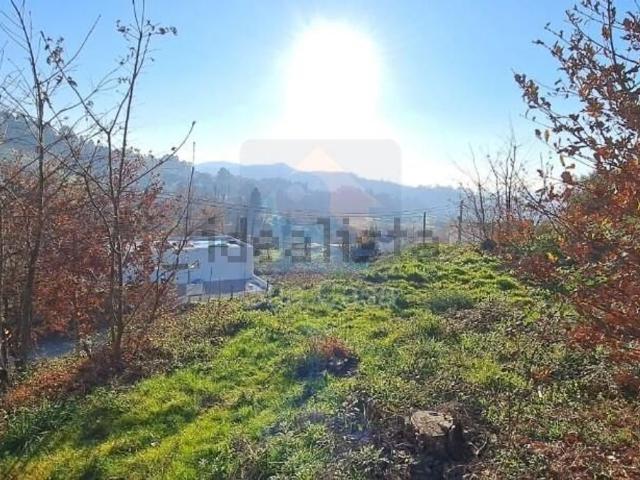 Terreno, Antime e Silvares São Clemente