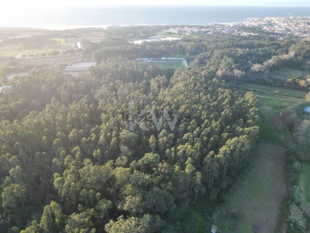 Terreno, Apúlia