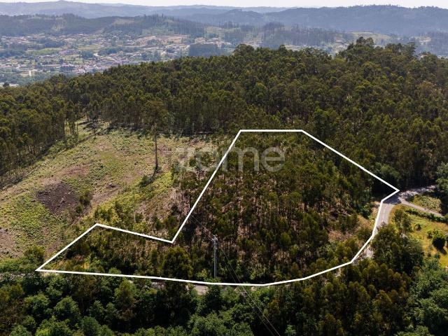 Terreno, Arões Santa Cristina