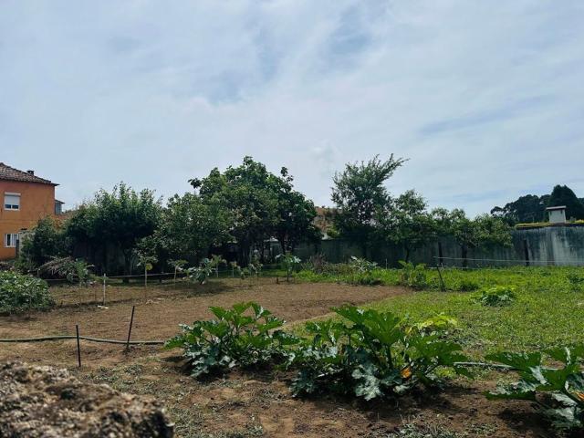 Terreno, Arcozelo