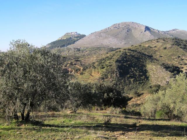 Terreno, Archidona