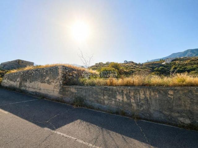 Terreno, Arafo
