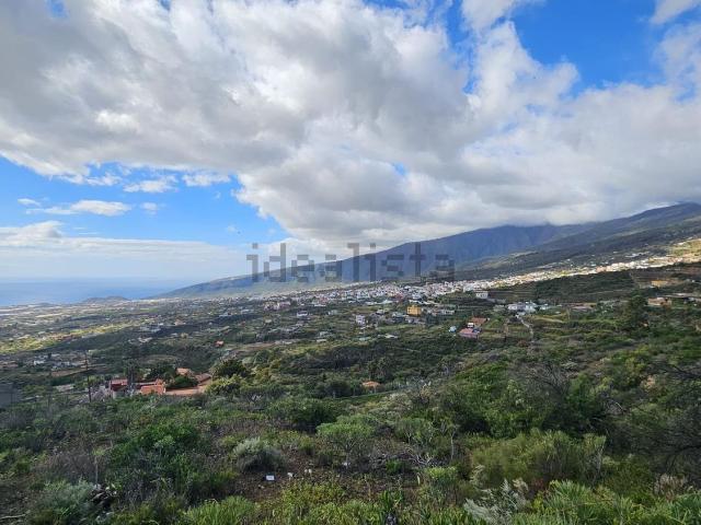 Terreno, Arafo