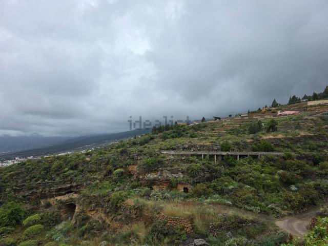 Terreno, Arafo