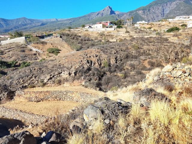 Terreno, Arafo