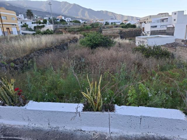 Terreno, Arafo