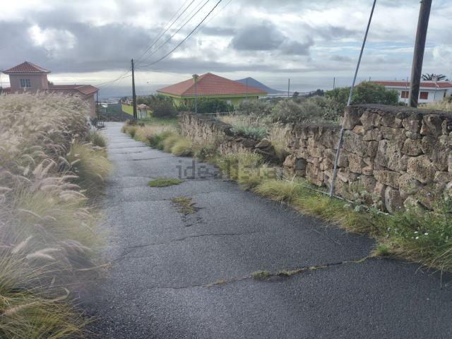 Terreno, Arafo