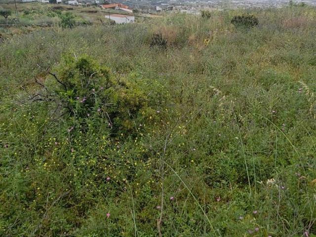 Terreno, Arafo