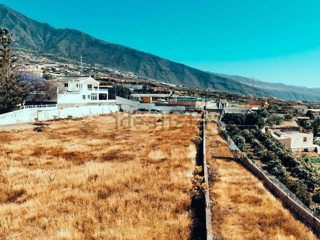 Terreno, Arafo