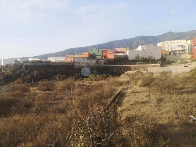 Terreno, Arafo