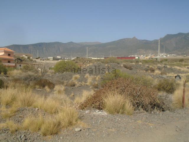Terreno, Arafo