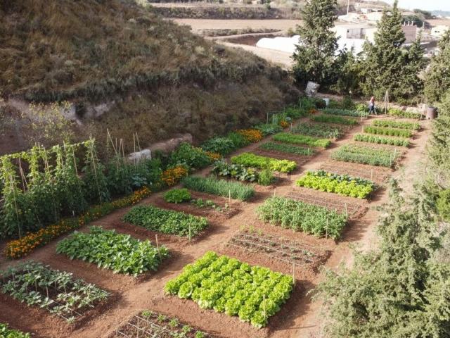 Terreno, Arbeca