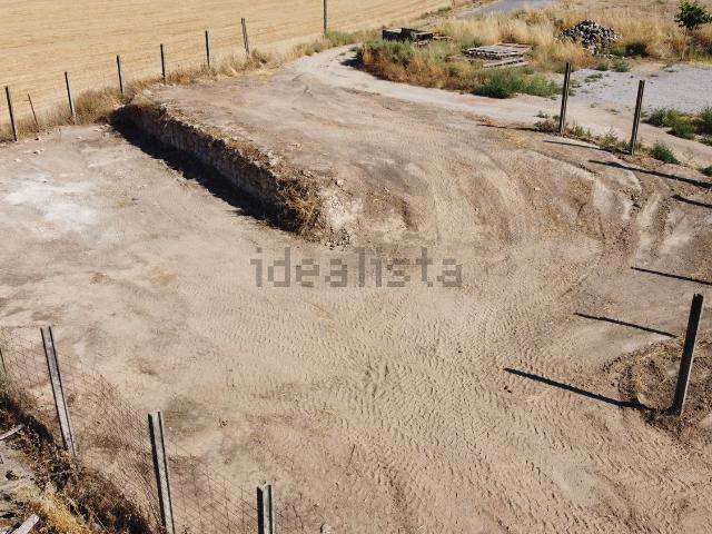 Terreno, Arbeca