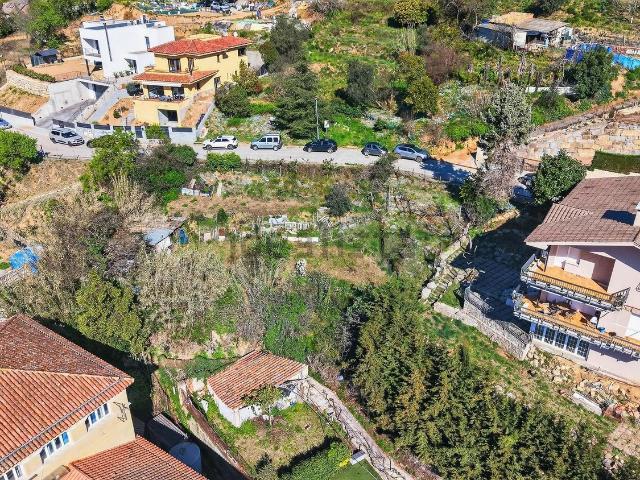 Terreno, Arbúcies