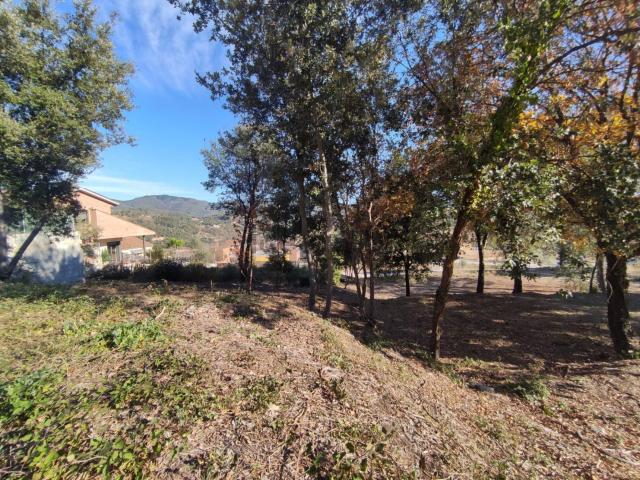 Terreno, Arbúcies