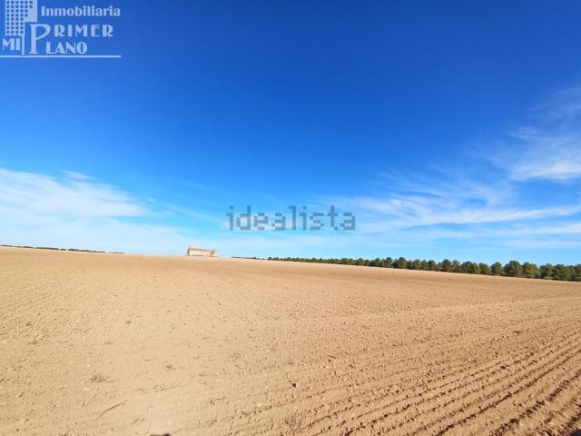 Terreno, Argamasilla de Alba