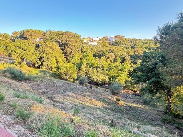 Terreno, Argentona