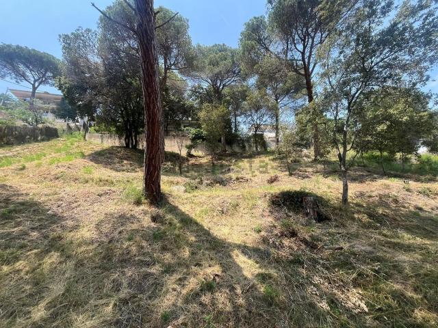 Terreno, Argentona