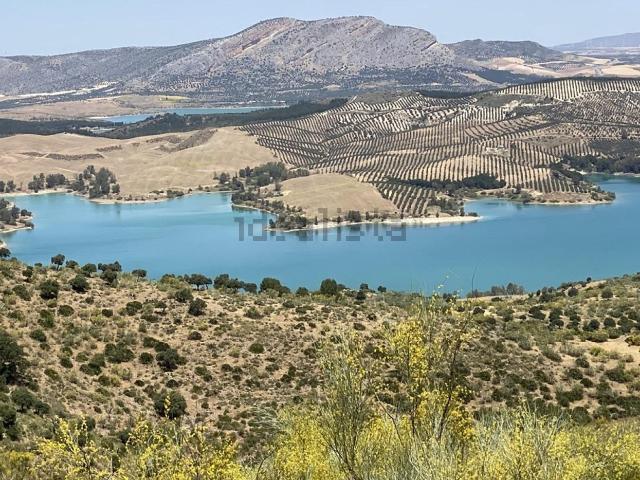 Terreno, Ardales