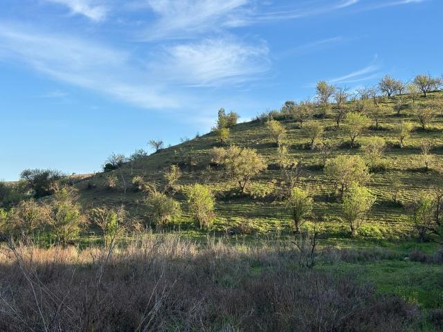 Terreno, Ardales