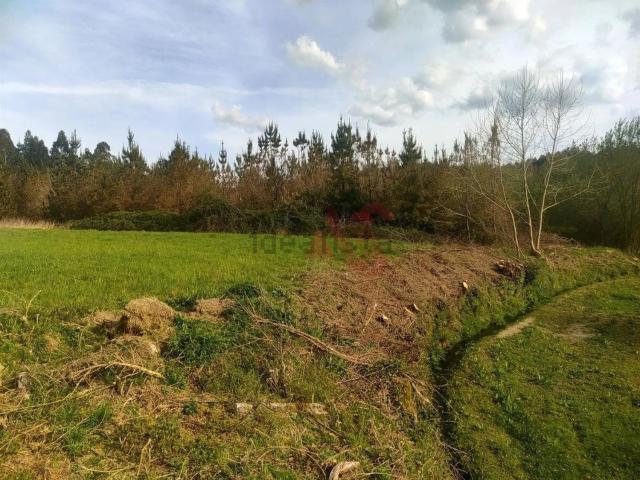Terreno, Ardegão Arnozela Seidões