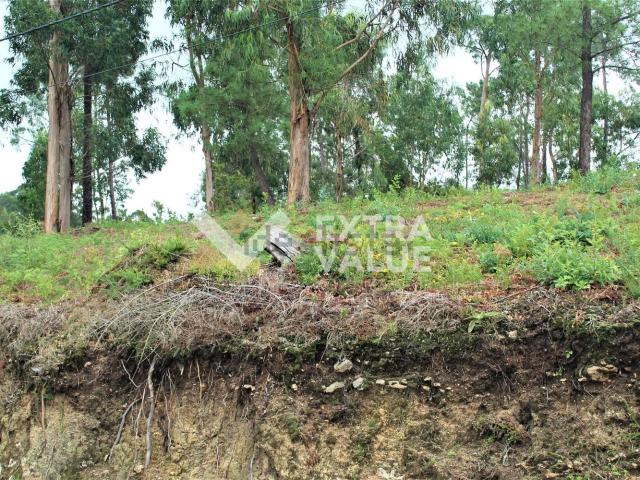 Terreno, Ardegão Freixo Mato