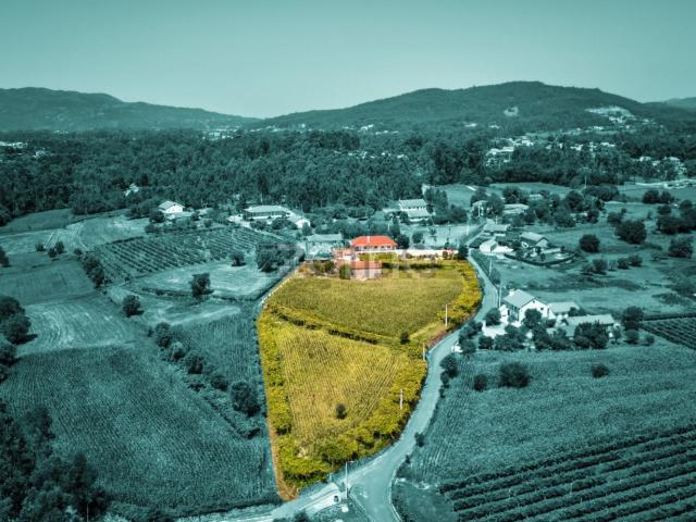 Terreno, Ardegão Freixo Mato