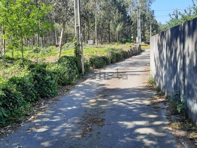 Terreno, Ardegão Freixo Mato