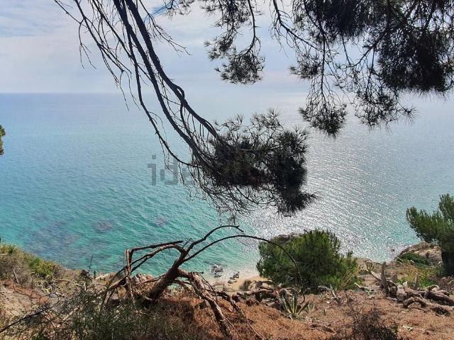 Terreno, Arenys de Mar