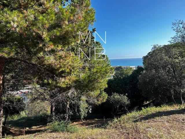 Terreno, Arenys de Mar