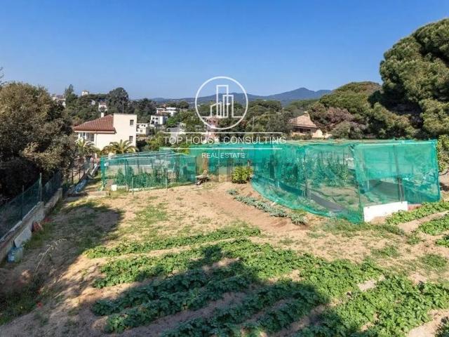 Terreno, Arenys de Mar