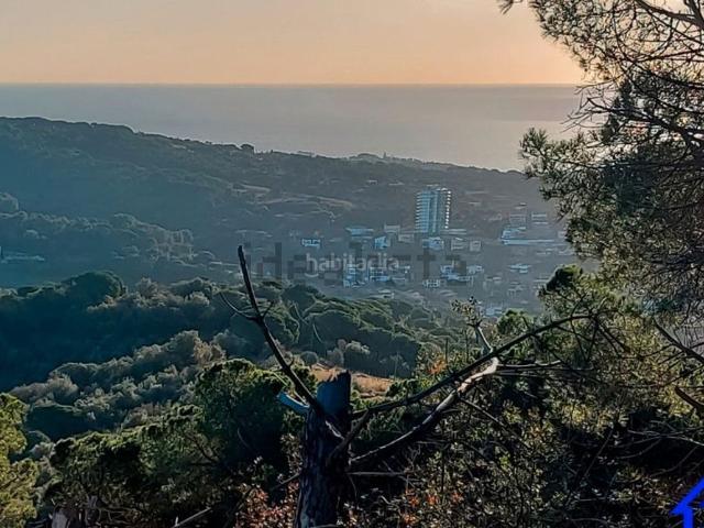 Terreno, Arenys de Munt