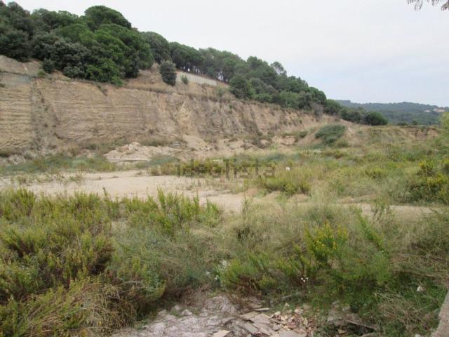 Terreno, Arenys de Munt