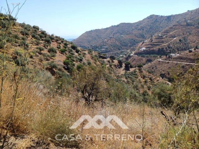 Terreno, Arenas