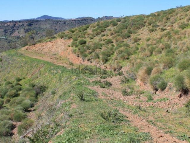 Terreno, Arenas