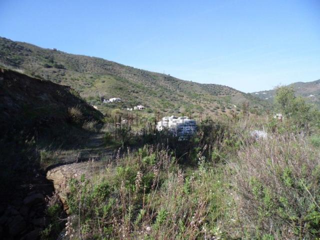 Terreno, Arenas