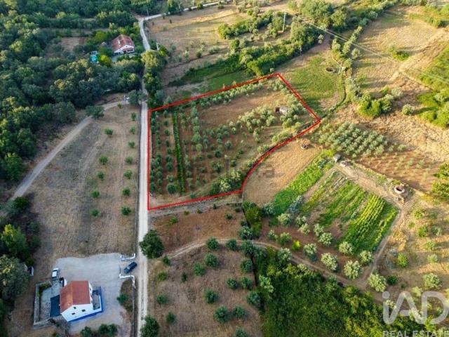 Terreno, Areias