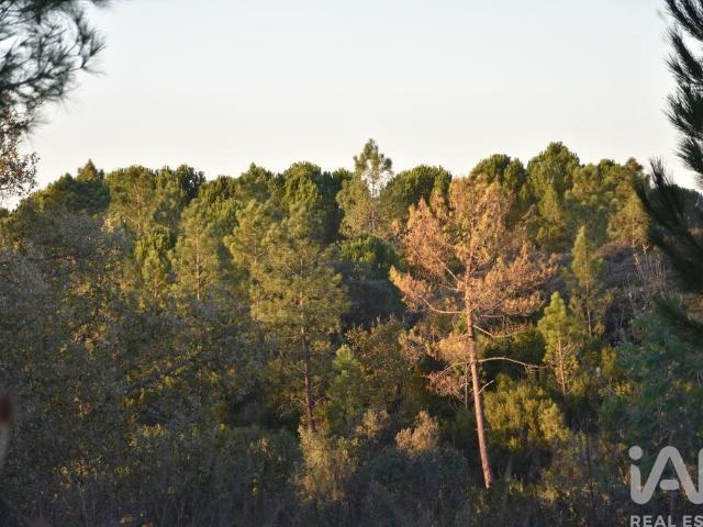 Terreno, Areias e Pias, Ferreira do Zêzere | BPI Expresso Imobiliário