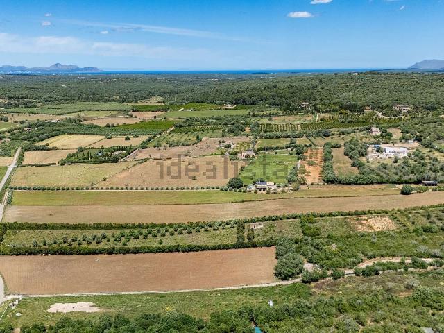 Terreno, Ariany