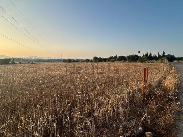 Terreno, Ariany