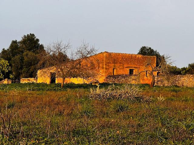 Terreno, Ariany